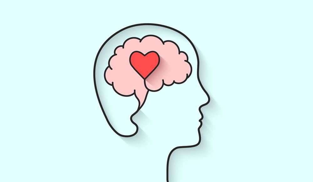  A heart in a brain of a head